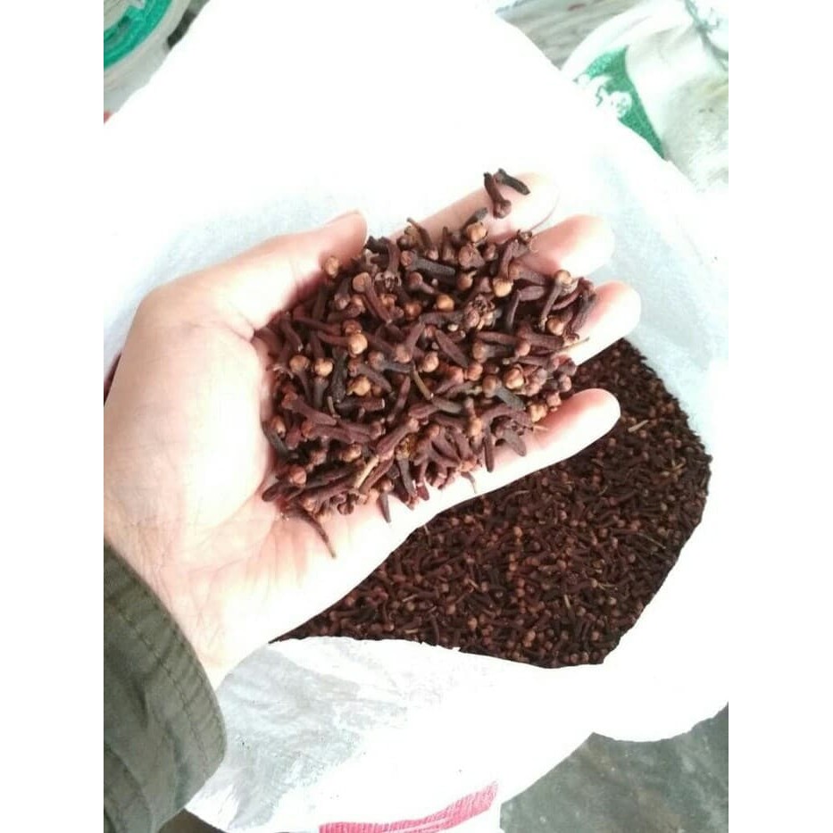 

Cengkeh Aceh 1kg