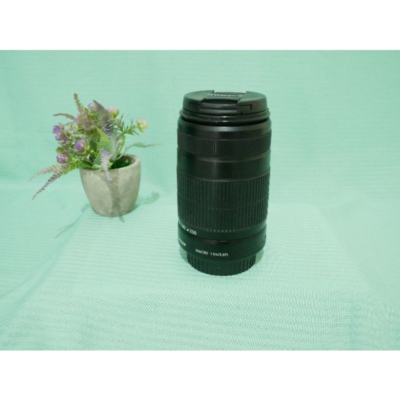 LENSA CANON 55-250mm DSLR