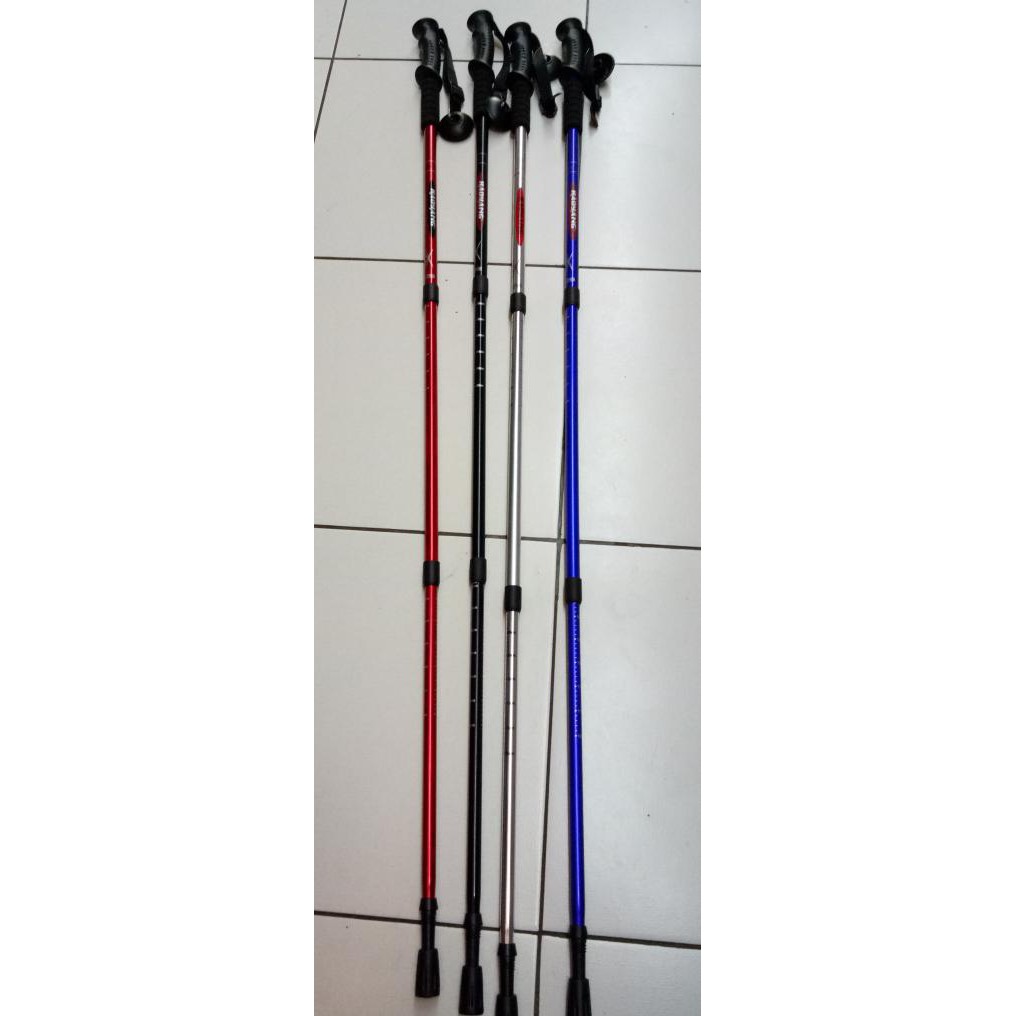 best cheap trekking pole