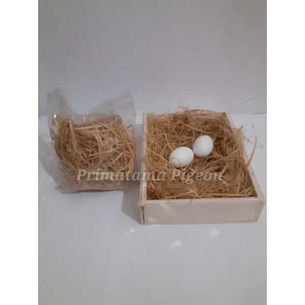 Sarang Burung Bambu Sarang Bambu Raut Alas Angkrem Burung Merpati