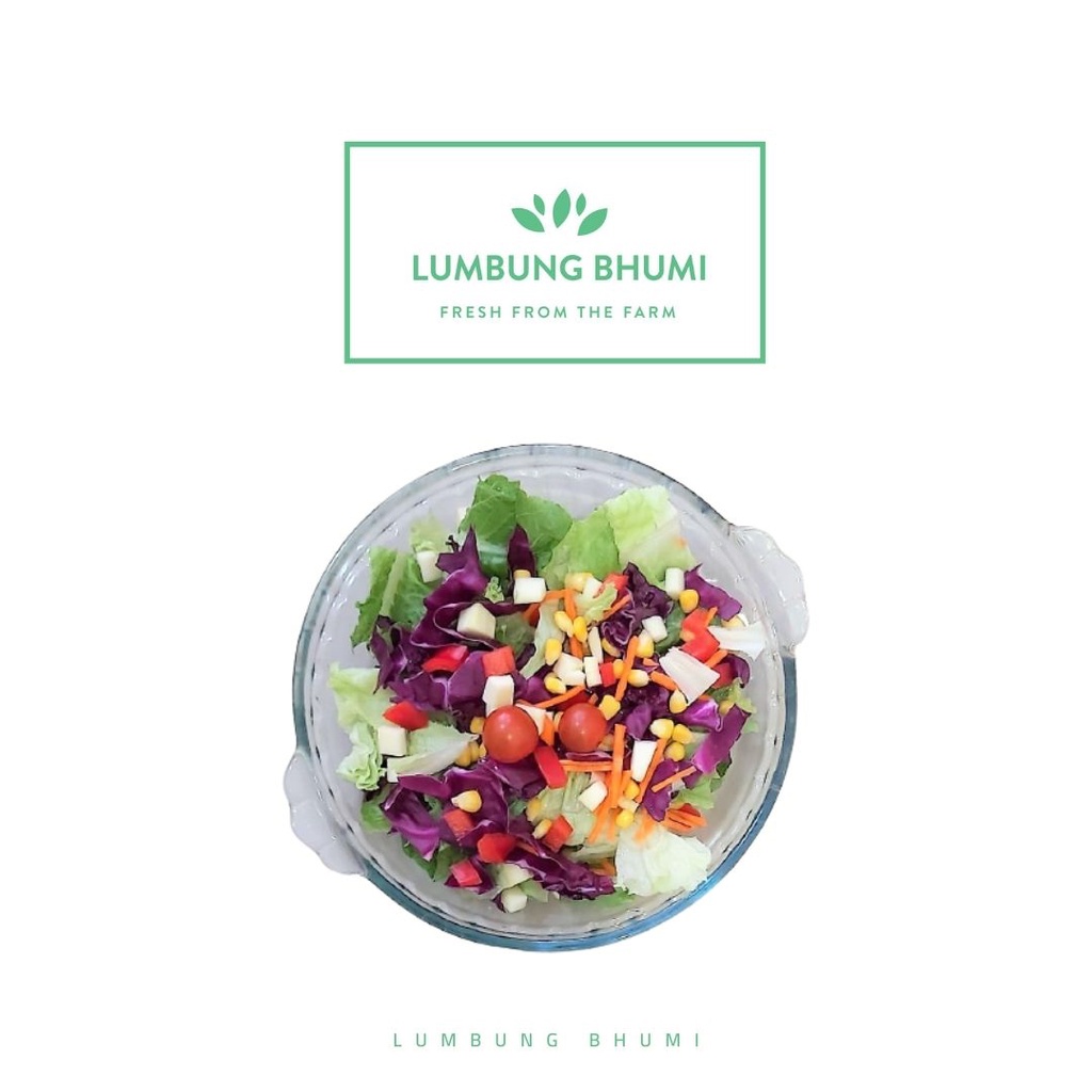 

Lumbung Bhumi - Salad Sayur Caesar S - 250 ml ( Juice Your Day )