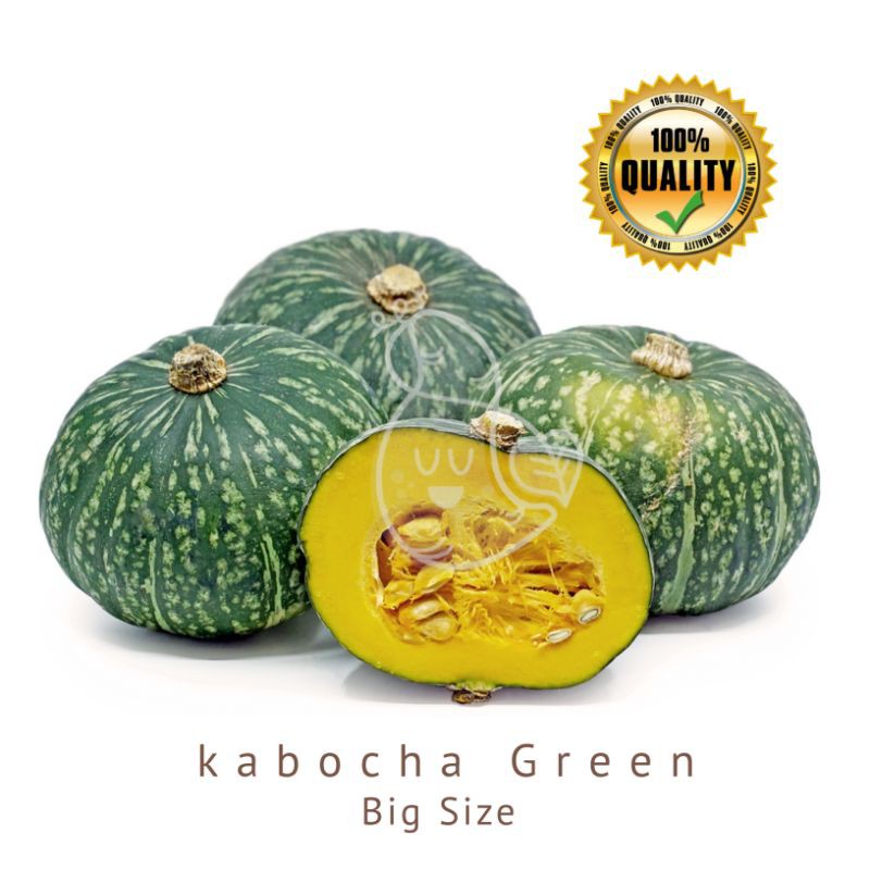 

Kabocha Hijau 1Pcs 800g - 1000g / Ubimart Official