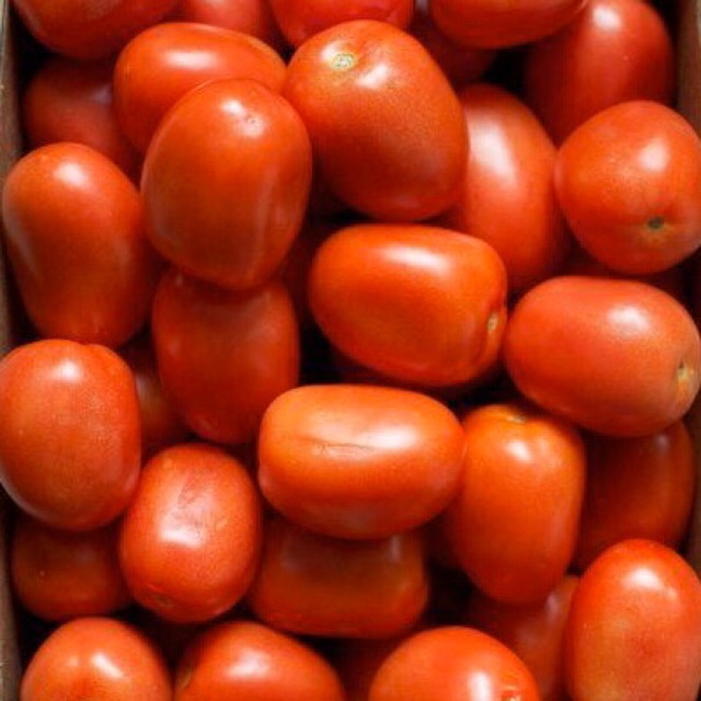 

Tomat (Tomato) 500 gram - sayur curah