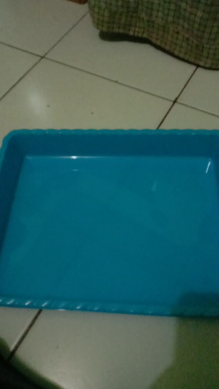 Nampan Plastik No.4 (35 X 27) Warna Cerah