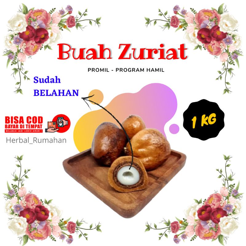 

BUAH ZURIAT 1 KG / BUAH ZURIAT PROGRAM KEHAMILAN / BUAH ZURIAT SUAMI ISTRI / BUAH ZURIAT PROMIL / PROMIL ZURIAT / MADU ZURIAT PROMIL