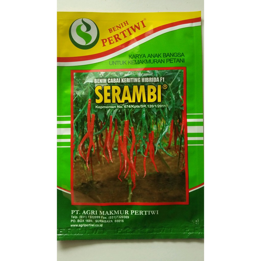 

Cabai Keriting Serambi Berkualitas