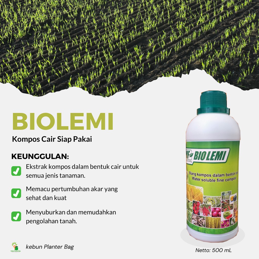 Biolemi Biang Kompos Berbentuk Pupuk Cair Pempuatan Compos