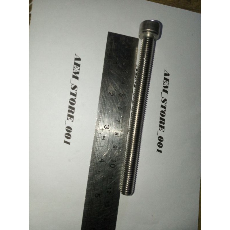 baut L M10 x 120 (12cm) stainless 304 THE A2-70