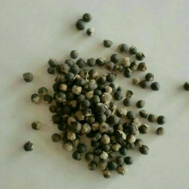 

10 g 50 gr 100 gram 蔓荆子 Man jing zi fructus viticis vitex fruit
