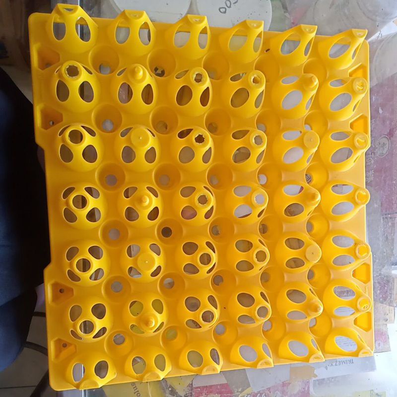 Egg tray plastik Medion - wadah telur ayam isi 30 butir