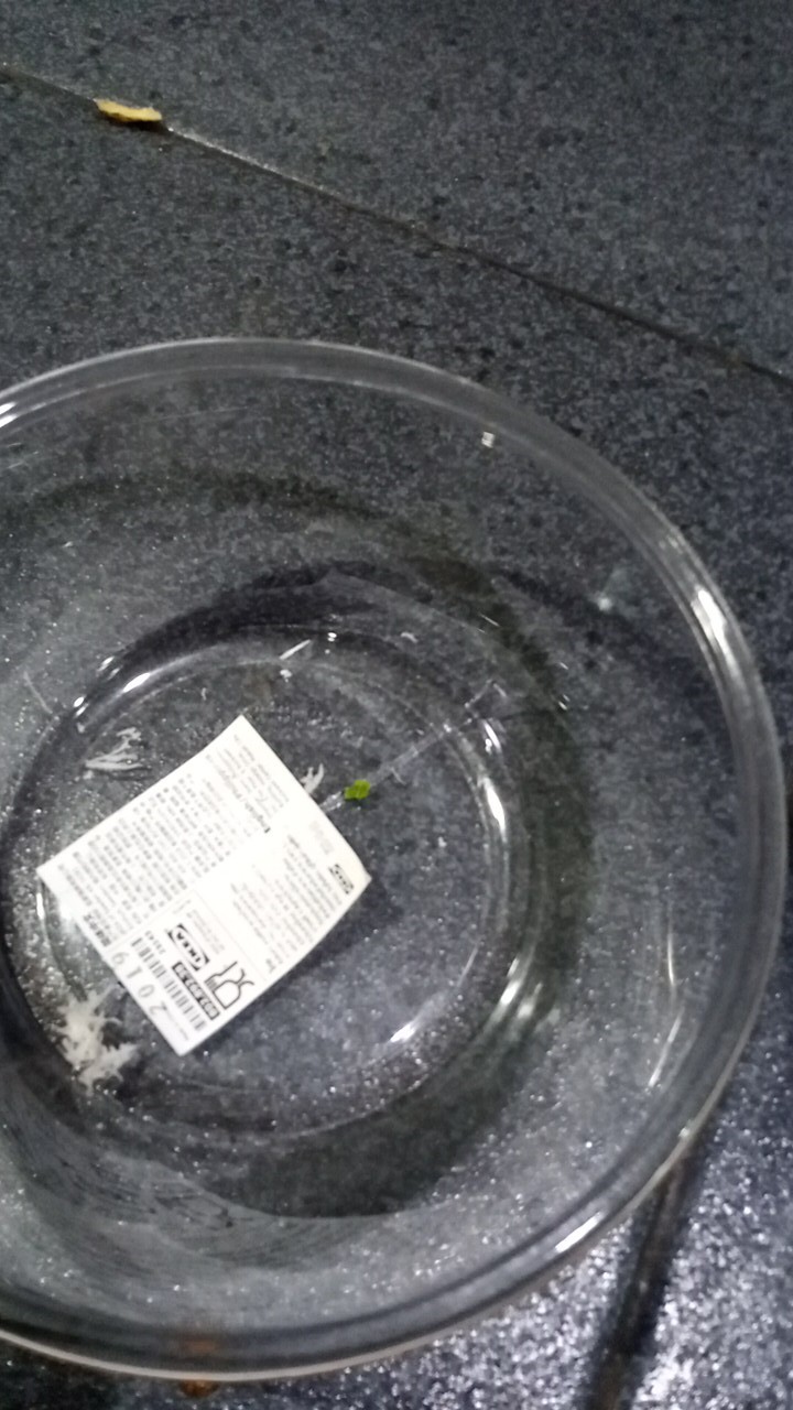 Mangkuk Saji Makan Bening 7x20cm, Peralatan Makan Va1025