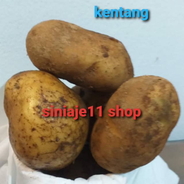 

Kentang 500gr