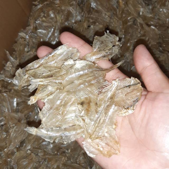 

Pakang Tawar 1ons/100 gram