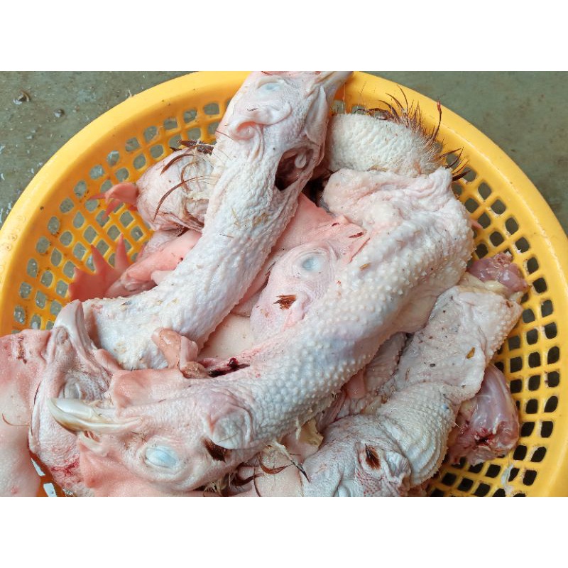 

Kepala Ayam Merah/Kepala Ayam/Kepala Ayam Murah/Ayam Potong