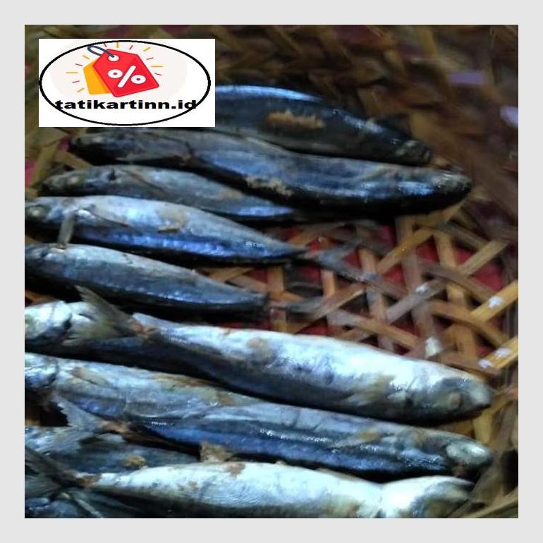 

S50Tat Ikan Pindang / Cue Layang Atr05Ytt