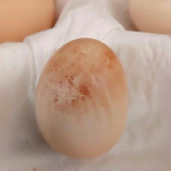 

Telur Ayam Kampung Perawan / Tembean