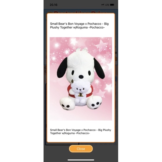 pochacco asli toreba jepang