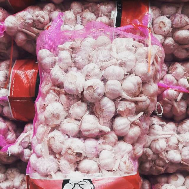 

Bawang Putih Kating