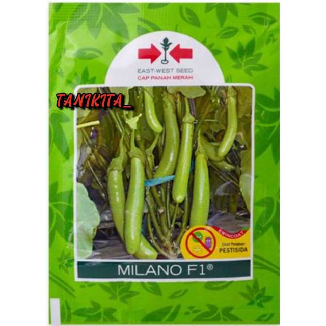 BENIH BIBIT TANAMAN SAYURAN TERONG MILANO F1