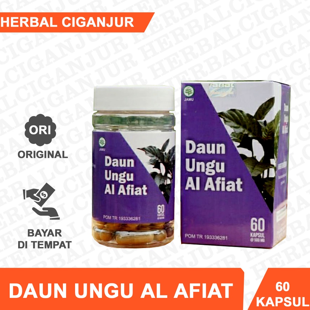 Kapsul Daun Ungu AL AFIAT Mengatasi Wasir / Ambeien Secara Alami Isi 60