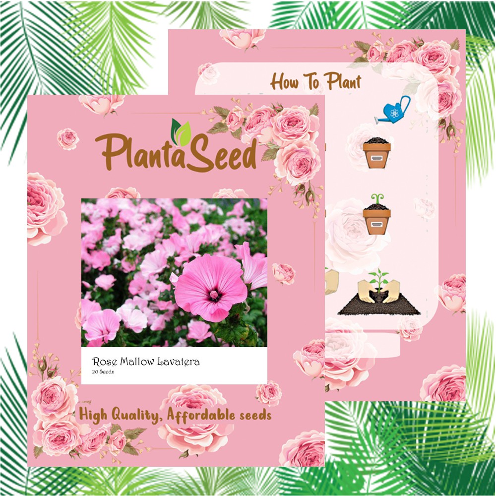 PlantaSeed - 20 Seeds - Rose Mallow Lavatera Biji Bunga - PAS0231