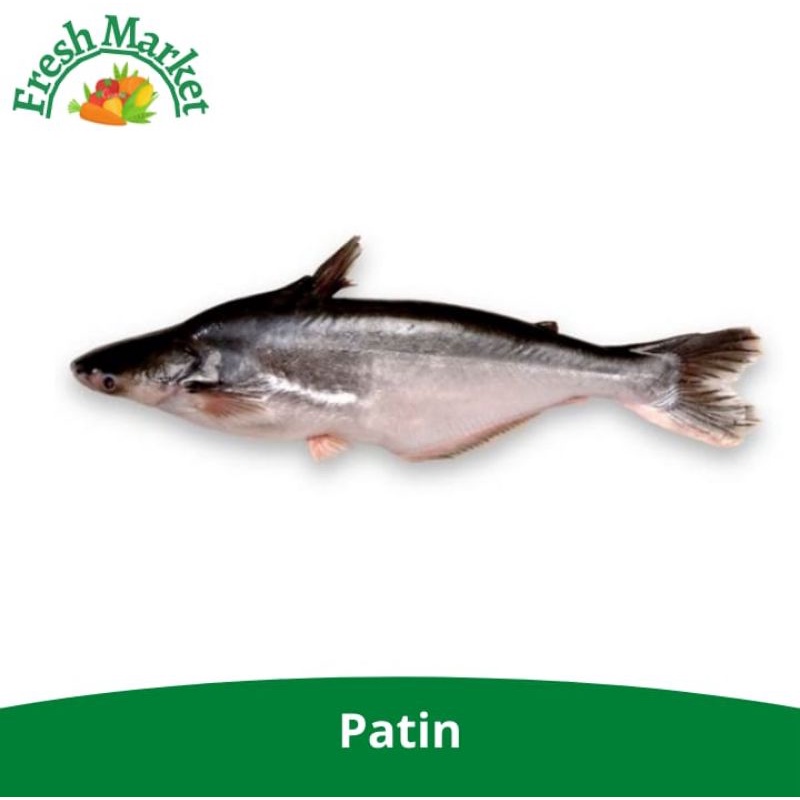 

IKAN PATIN SEGAR FRESH 1 KG ISI 1-3 FRESH MARKET SIDOARJO