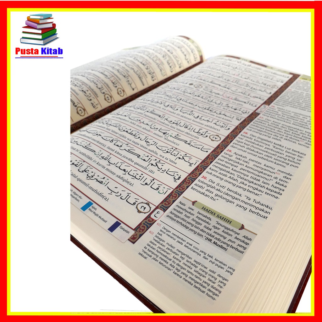 ALQURAN TERJEMAH ALQURAN LATIN TAJWID WARNA