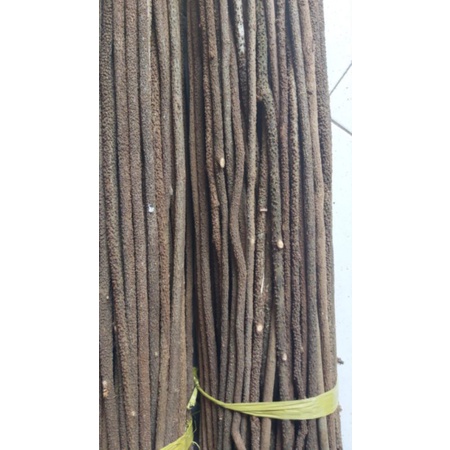 Tangkringan Burung Pleci Asem Bali Kasar