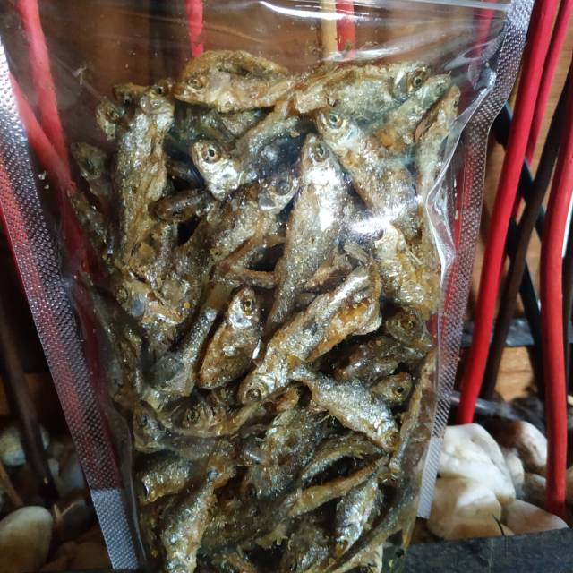 

Ikan bilih