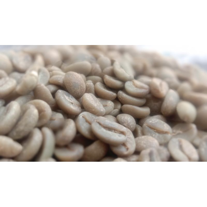 

Green Bean Arabica Bromo Tengger Wash 1 kg