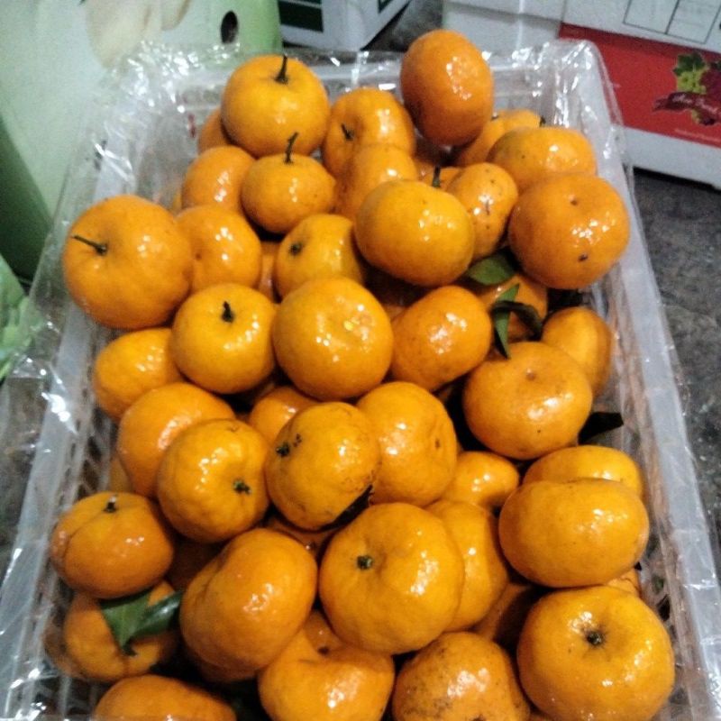

Buah Segar JERUK Santang Madu - Manis / paket - +525gr