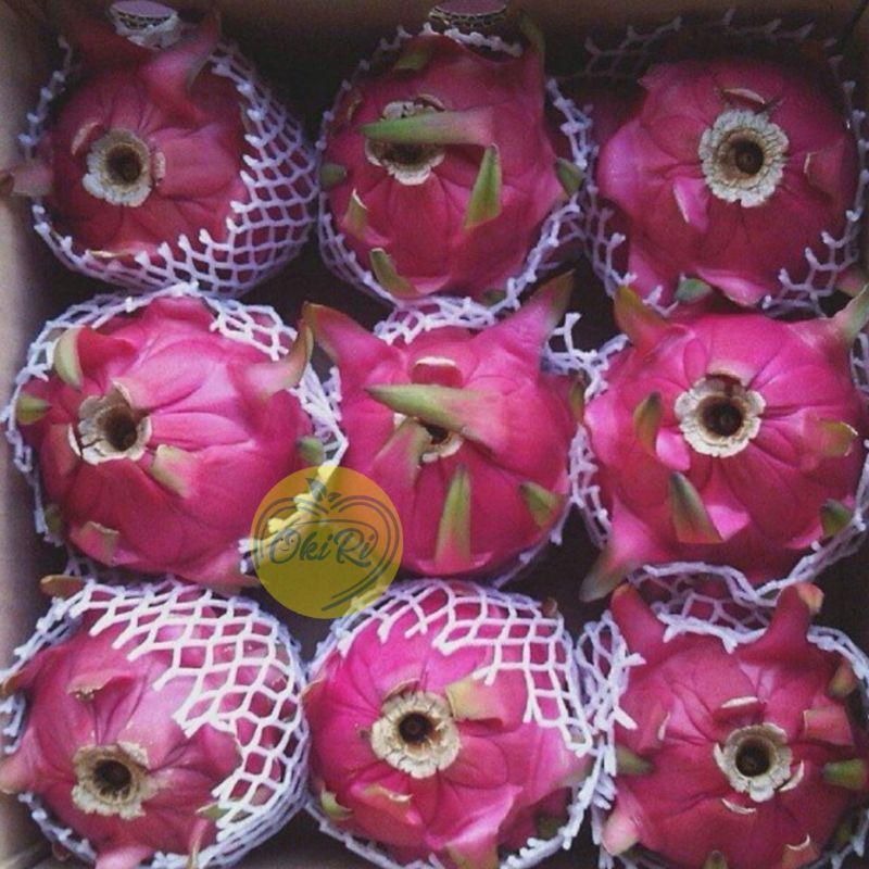 

Buah naga merah (5 kg)