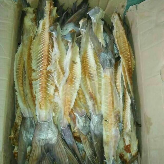 

Tulang Asin Jambal Roti Segar