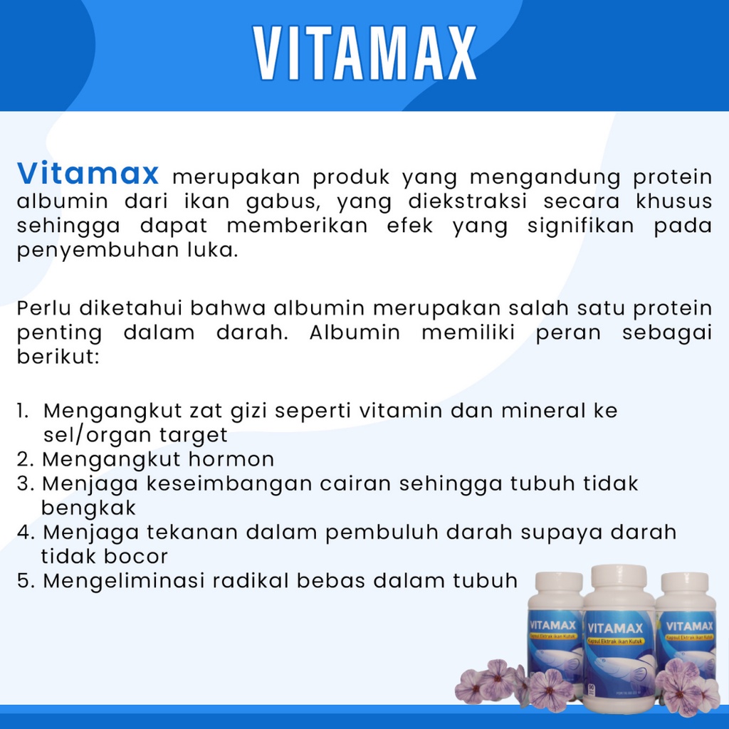 Kapsul Vitamax Ikan gabus Ikan Kutuk Albumin Alami isi 90 kapsul