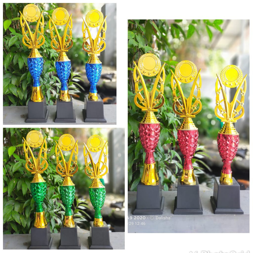 Piala Cup Nanas Piala Cup Sisik BayangkaraPiala Satuan Piala Kejuaraan Piala Penghargaan