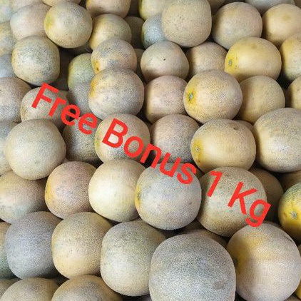 

Melon Buah | Buah Melon Uk Size Medium + Gratis Bonus