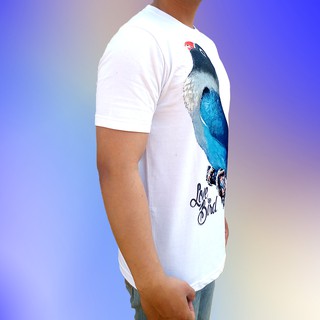 Bawara Kaos  Kaos  Kicau Kaos  Burung  Kaos  Pria 
