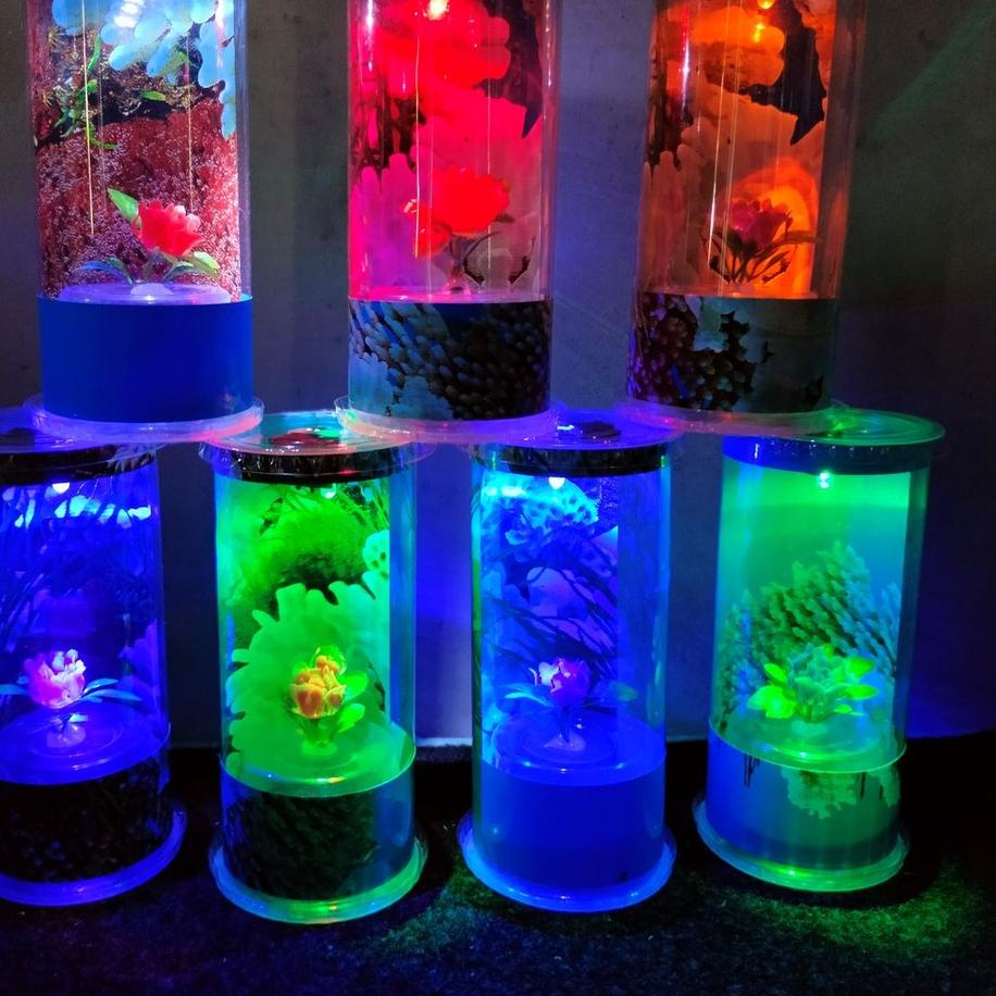 Big Sale - Aquarium Mini SK Lengkap Lampu 