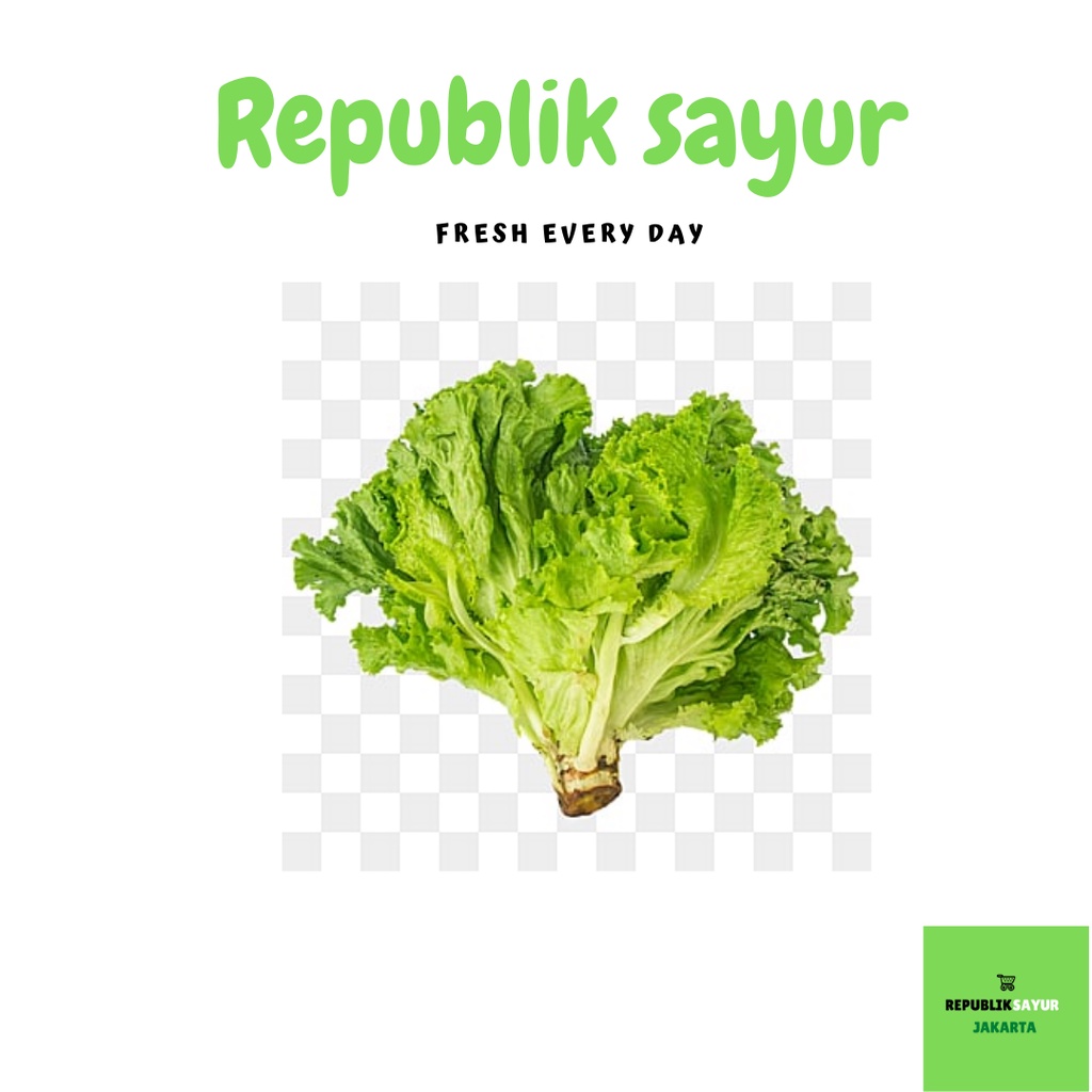 

Selada Keriting/Lettuce curly 250gr