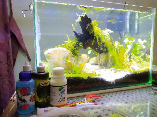 keran infus pengatur selang udara aerator aquarium murah