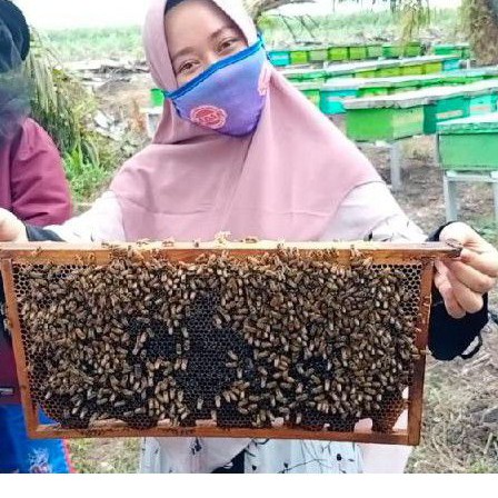 

Madu murni asli insyaallah amanah dijamin 100% murni