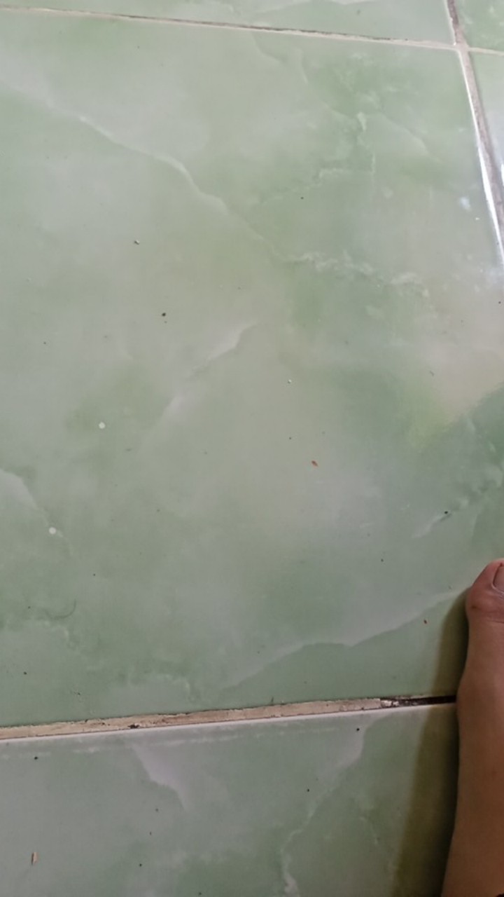 [cod] Gorden Pintu Tirai Pintu Motif Moon Star Bahan Katun Halus