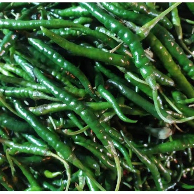 

Cabai hijau keriting 250gr