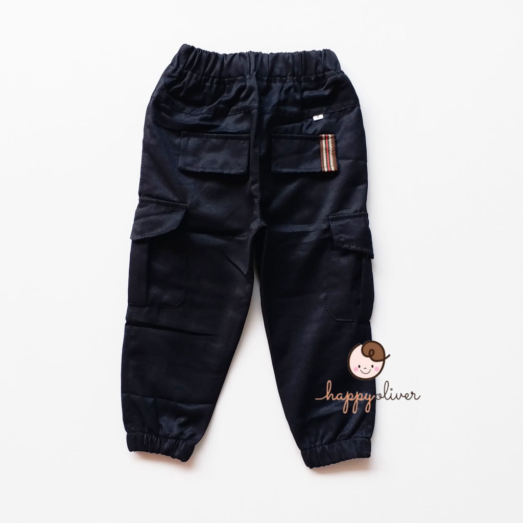 HappyOliver CELANA PANJANG CARGO A celana pants anak laki premium