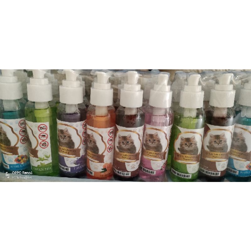 shampo kucing anti jamur dan kutu