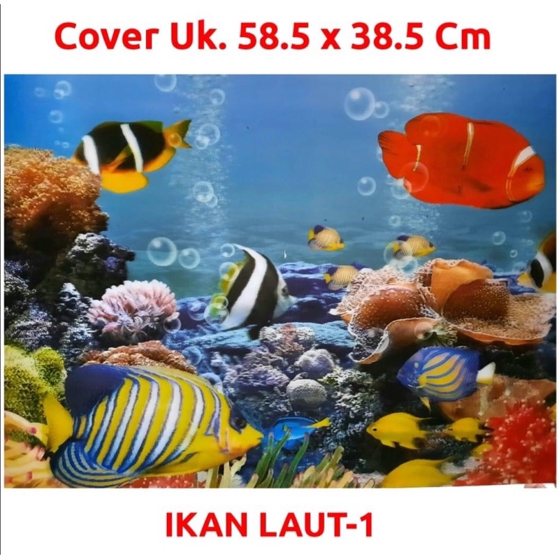3D Cover Aquarium 60x40 Cm/ Gambar Aquarium/ Hiasan Aquarium/ Aksesories Aquarium/ Aksesoris Aquariu