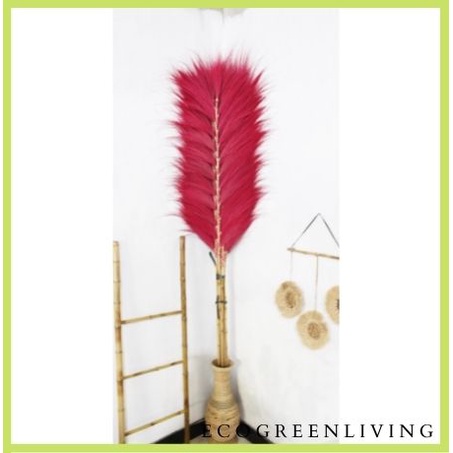 Rayung Stick / Bunga Kering / Dried flower / Bunga Hias / Natural Leaf Rayung Stick (Bundling isi 2)