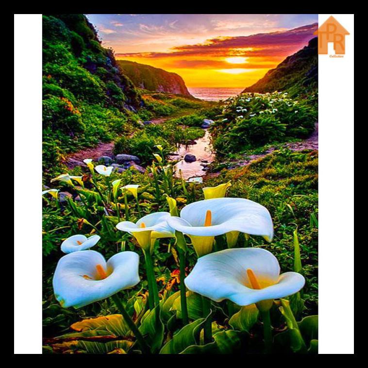 

Ready Diy - Set Melukis Sendiri / Paint By Number Kit - Flowers 40X50Cm. - Flowers Otg6123