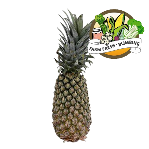 

Nanas Palembang 2pcs