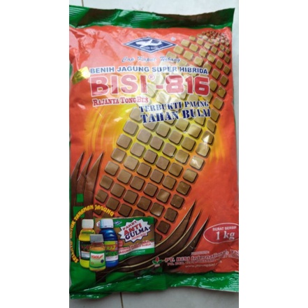 BENIH JAGUNG BISI 816 1 KG